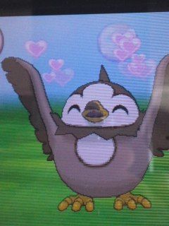 色違いムックル にゃるにゃるめーんな気まぐれ日記