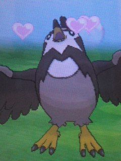 色違いムクバード ムクホークその壱 にゃるにゃるめーんな気まぐれ日記