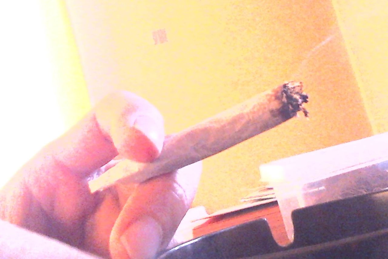 パピヨン クローブ レビュー 加熱タバコ吸いの日記 ヴェポライザー煙草