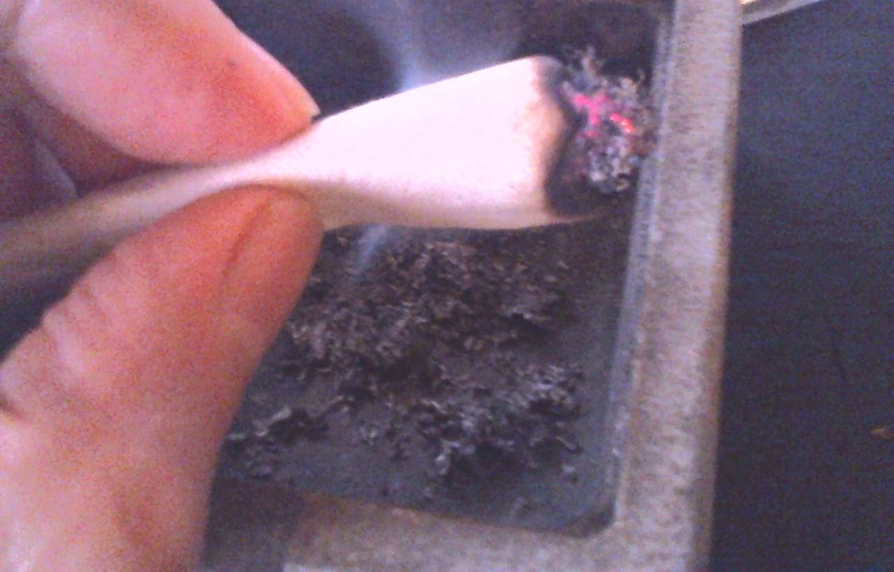 パピヨン クローブ レビュー 加熱タバコ吸いの日記 ヴェポライザー煙草