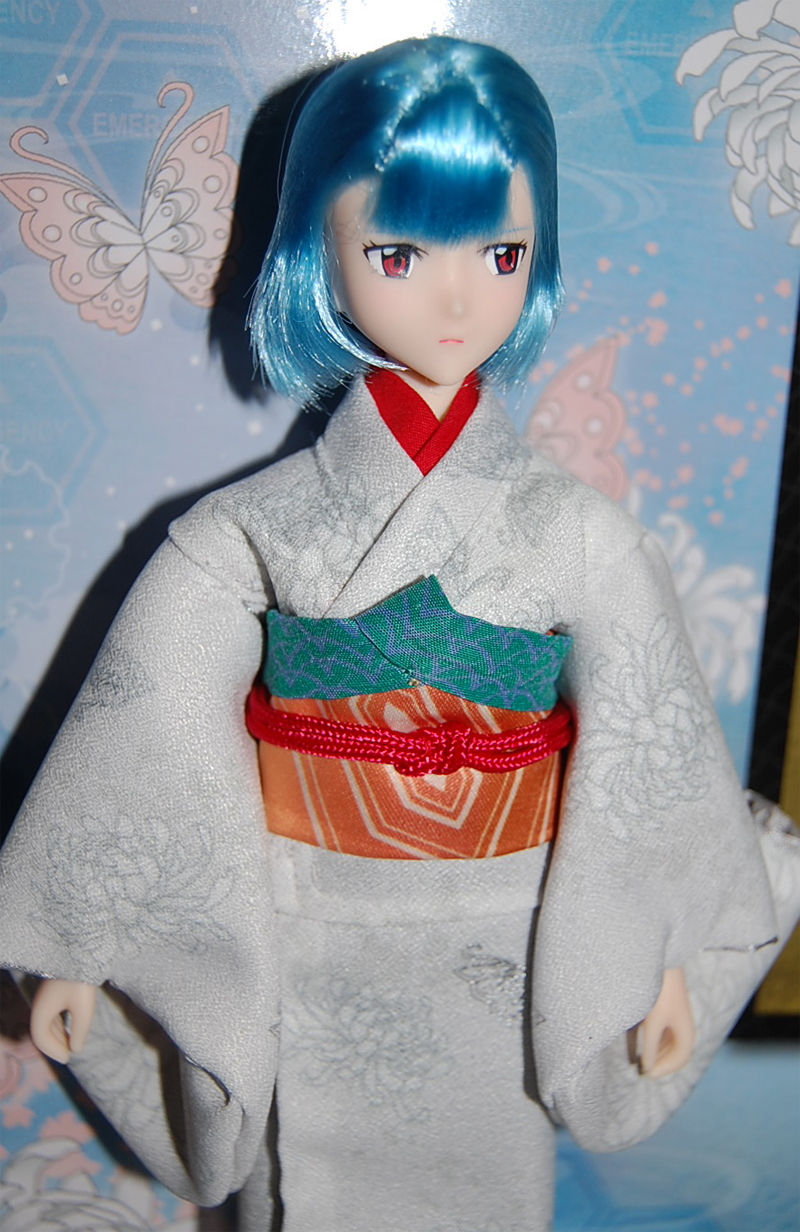 綾波レイ と 日本刀 バルタン星人の部屋