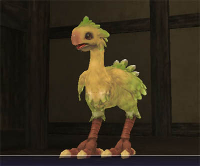 FINAL FANTASY XI ピヨピヨヒナチョコボ FINAL FANTASY XI ピヨピヨヒナチョコボ チョコボ