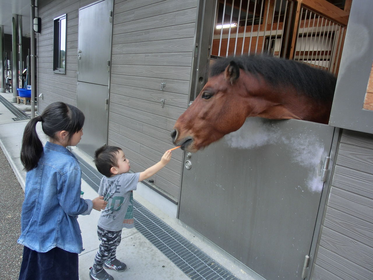 ズーラシア 続き こはね あさひ かなた日記 ズーラシア 続き こはね あさひ かなた日記