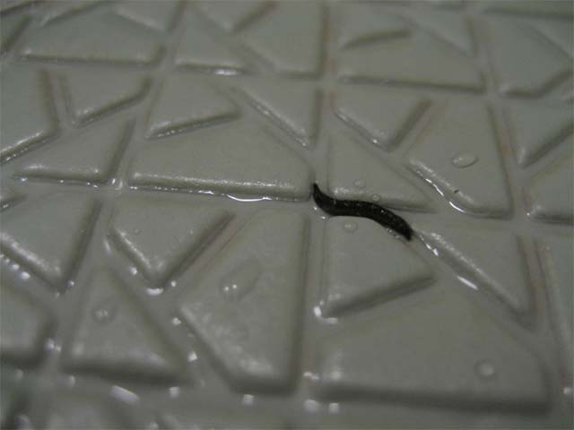 閲覧注意 風呂にチョウバエが大量発生してる奴ちょっと来い レトロ速報vip