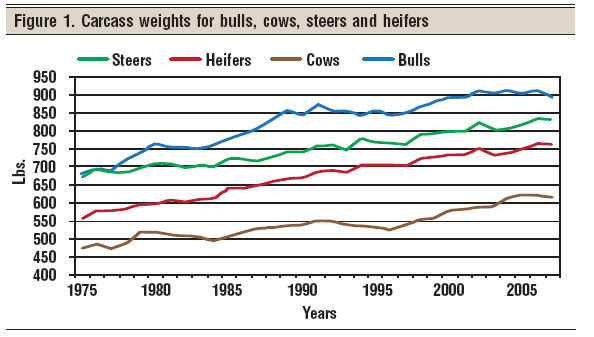fig1 carcass-weights
