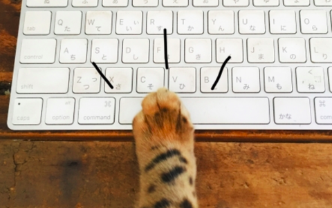 スクリーンショット 2020-10-14 10-21-55