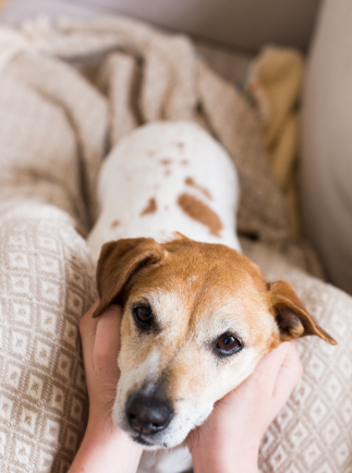 コメント 2020-07-28 104854