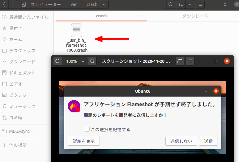 アプリケーション Xyz が予期せず終了しました Ubuntu起動時 ご年配linux