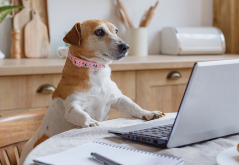 コメント 2020-07-28 104631