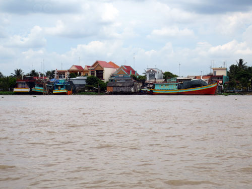 vn21