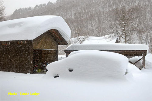 tanbo-lodge