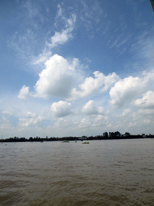 vn9
