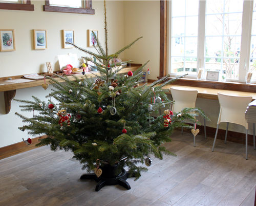 xmas-tree13-1