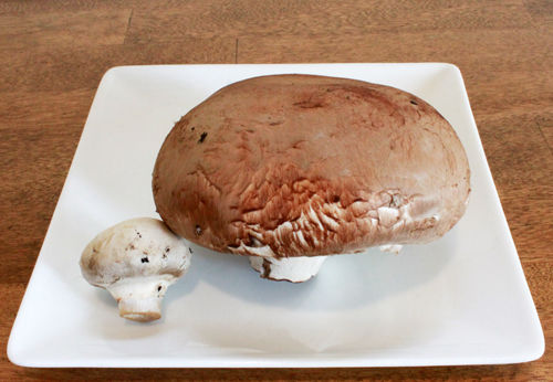 マッシュルーム−2