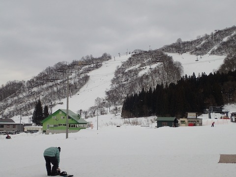 雪だー！！