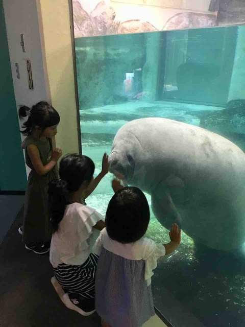 新屋島水族館