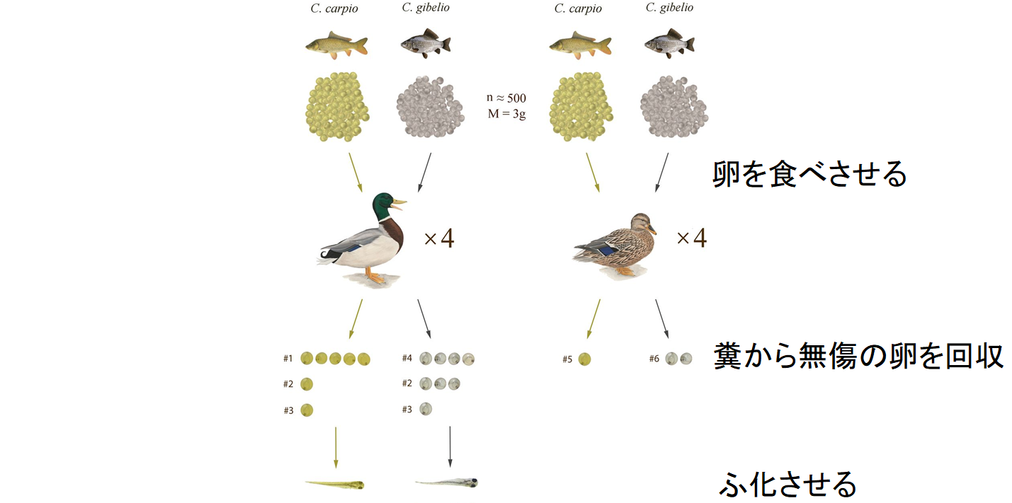サイエンスニュースまとめ☆ななめ読み