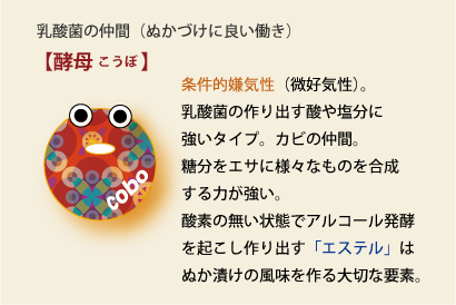 マクロビパパの奮闘記 August 08 Livedoor Blog ブログ マクロビパパの奮闘記 August 08 Livedoor Blog ブログ
