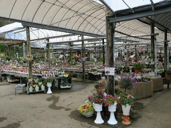 ガーデンガーデン豊橋本店 ビークロス好きの変なおじさん日記