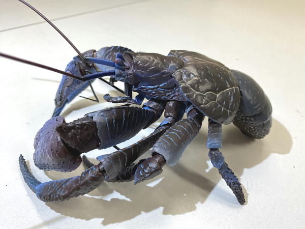 バンダイ いきもの大図鑑プレミアム ヤシガニ : ビークロス好きの変な