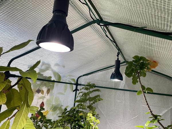 HaruDesign 植物育成LEDライト : ビークロス好きの変なおじさん日記