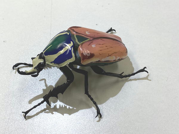 いきもの大図鑑 かぶとむし06 : ビークロス好きの変なおじさん日記