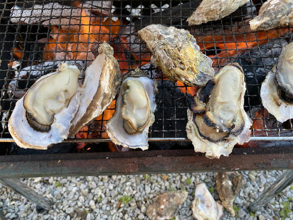庭で焼き牡蠣 : ビークロス好きの変なおじさん日記