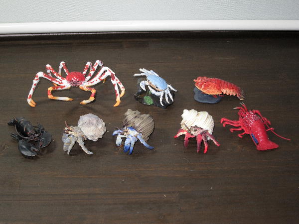 ♯Hui28DH地球生命紀行タラバガニ&日本近海の魚たちフル全7種