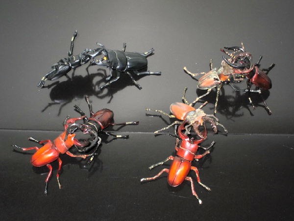 カプセルQミュージアム 日本クワガタムシ大全 : ビークロス好き