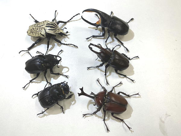 いきもの大図鑑 かぶとむし05 : ビークロス好きの変なおじさん日記