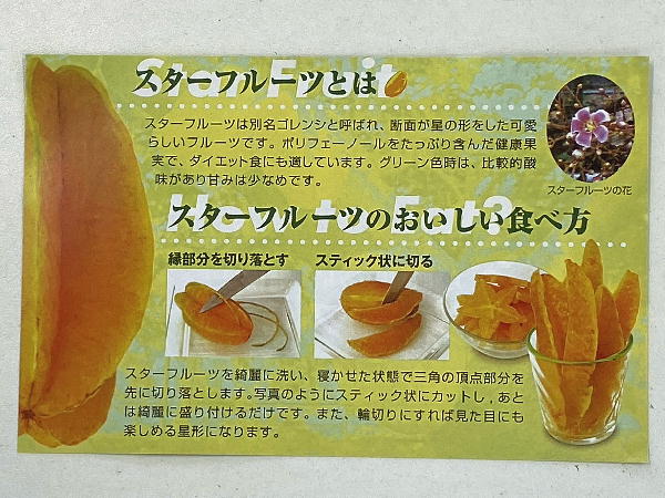 スターフルーツ ビークロス好きの変なおじさん日記