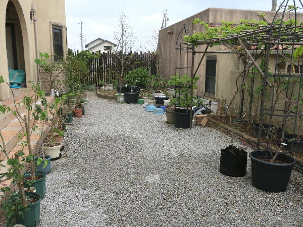 庭の草取り ビークロス好きの変なおじさん日記 庭の草取り ビークロス好きの変なおじさん日記