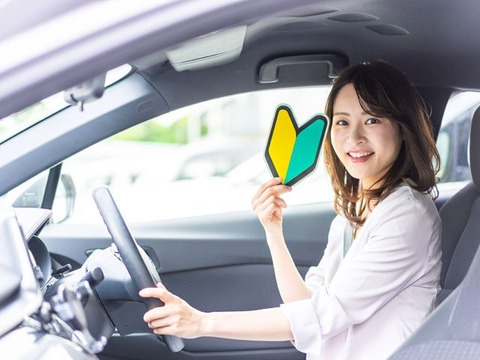 ペーパードライバーだけど運転練習したいｗｗｗｗｗｗ