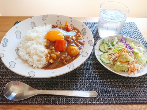 旦那がこれから毎日朝カレーが良いとか言い始めたんやがｗｗｗｗｗ