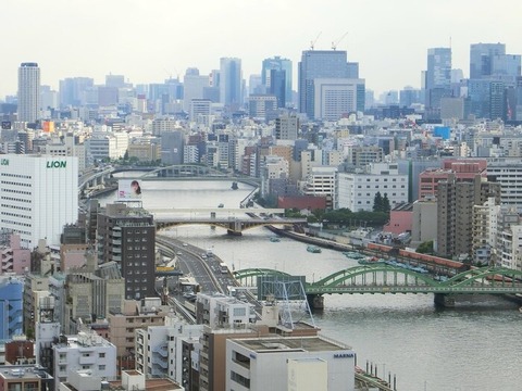 敵1「都心住みでも車必要だぞ」敵2「嘘だぞ。渋滞等逆に不便だぞ」←意見分かれすぎｗｗｗｗ