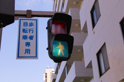 道交法「車道を走る自転車は自動車用信号に従え」←これマジ？