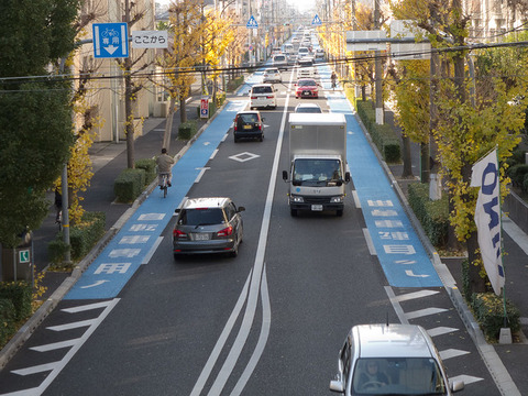 自転車専用みたいなの道路