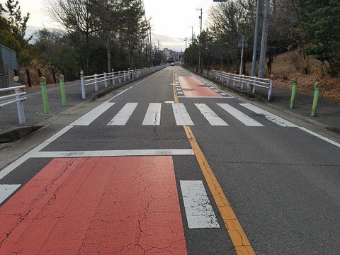 信号機の無い横断歩道でチャリに譲るヤツは免許返納しろ