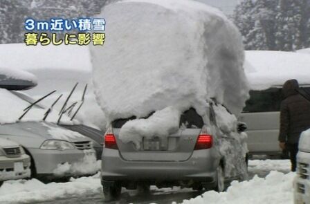 車の上の雪を降ろさず