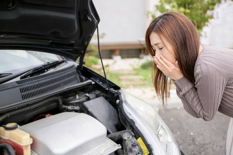 車動かない