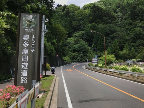 奥多摩周遊道路