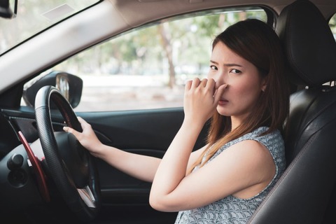 車の空調から出る風が生臭い