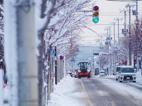 北海道ドライブする