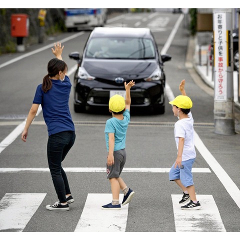 何で小学校って「横断歩道は手を上げて渡りましょう」って指導するんや？