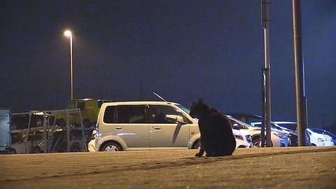 車中泊でノック