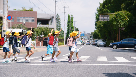 日本の横断歩道