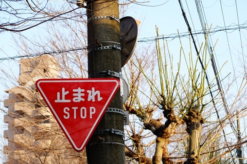 今日直線の優先道路走ってたら丁字路で無理やり左折車に割り込まれた！