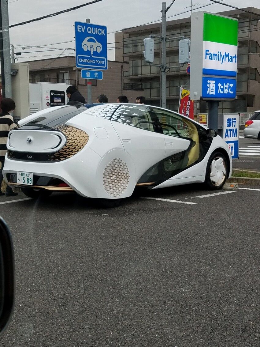 100 車 エンブレム 悪魔 ダサい