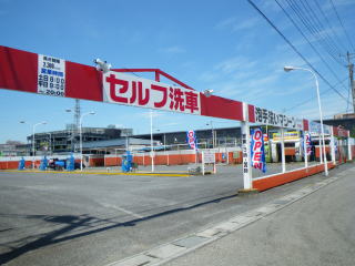 IMGP03581