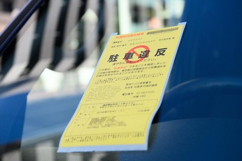 なんで車の違反ってその場で電子決済で罰金支払いできないの？